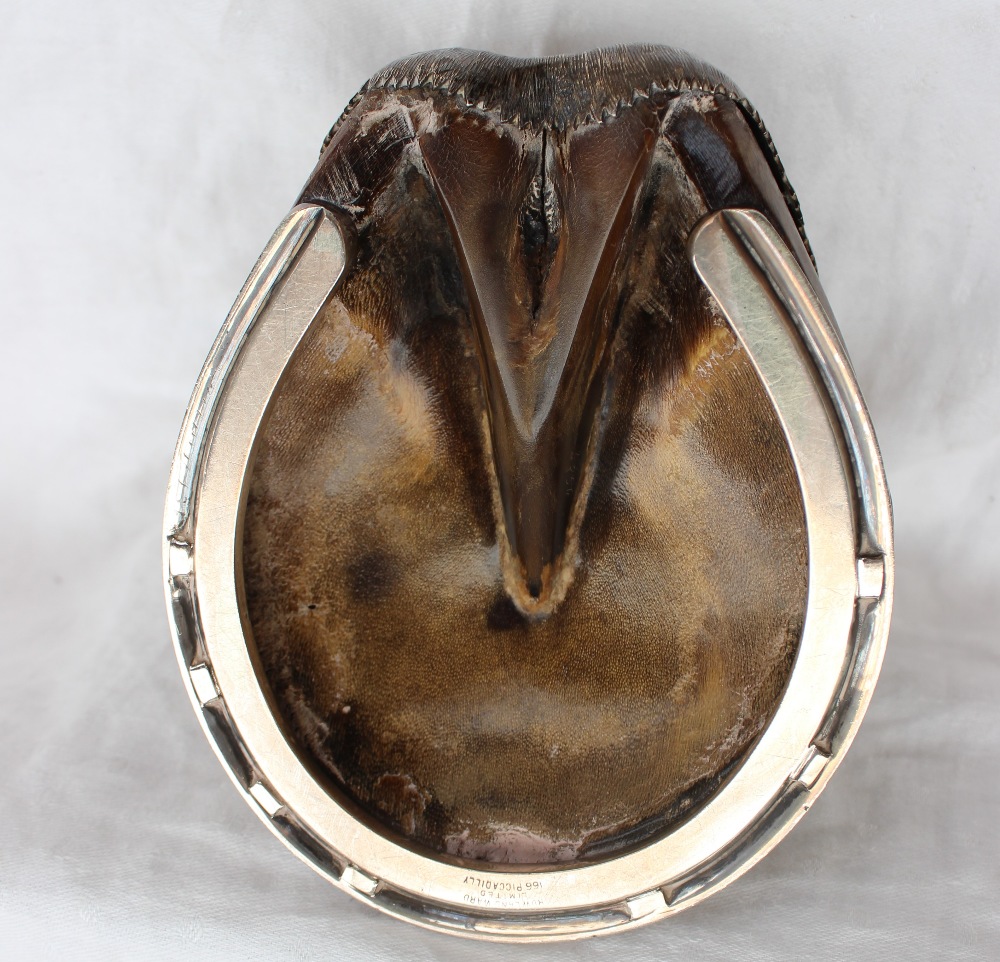 A Rowland Ward electroplated mounted horse's hoof, the circular hinged cover inscribed "Marauder", - Image 5 of 6