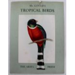 Mr Gould's Tropical Birds,