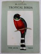 Mr Gould's Tropical Birds,