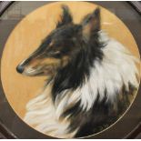 20th century British School A rough collie Pastels Together with other pictures