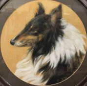 20th century British School A rough collie Pastels Together with other pictures