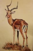 Hoy An antelope Oil on board