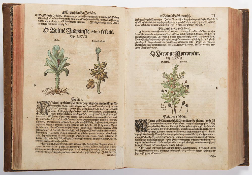 PIETRO ANDREA MATTIOLI (1501-1577): A HERBARIUM 37x26x10 cm The Czech edition with colored - Image 3 of 4