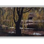 CHRISTOPHER HALL (20TH CENTURY), WILLOW TREE, oil on board, signed, 60 by 90cm.