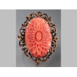 A 9CT YELLOW GOLD AND CORAL RING, the oval carved floral form coral set in a scroll frame, on a