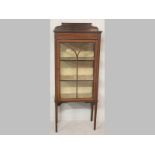 AN EDWARDIAN MAHOGANY DISPLAY CABINET, the rectangular door with conforming sides, shelves and