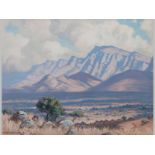 WILLEM HERMANUS COETZER (1900 - 1983), DRAKENSBERG/TRANSVAAL, TRICHARDTSDAL, oil on board, signed,