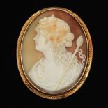 Gold and Carved Cameo Brooch