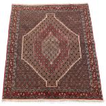Very Fine Hand-Knotted Senneh Bijar Carpet