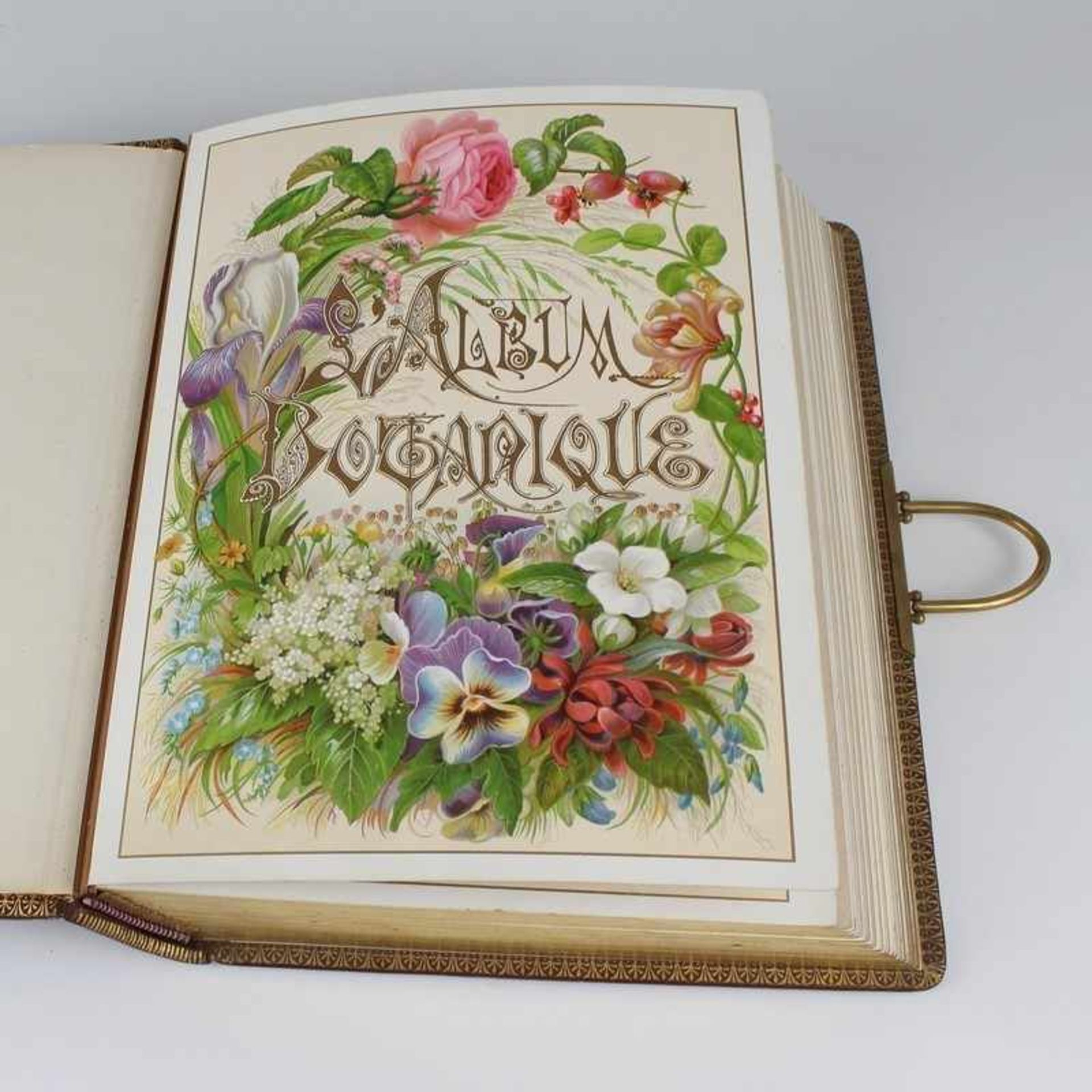 Fotoalbum um 1900, Album Botanique, ohne Fotos, geprägter, vergoldeter Ledereinband, Goldschnitt,