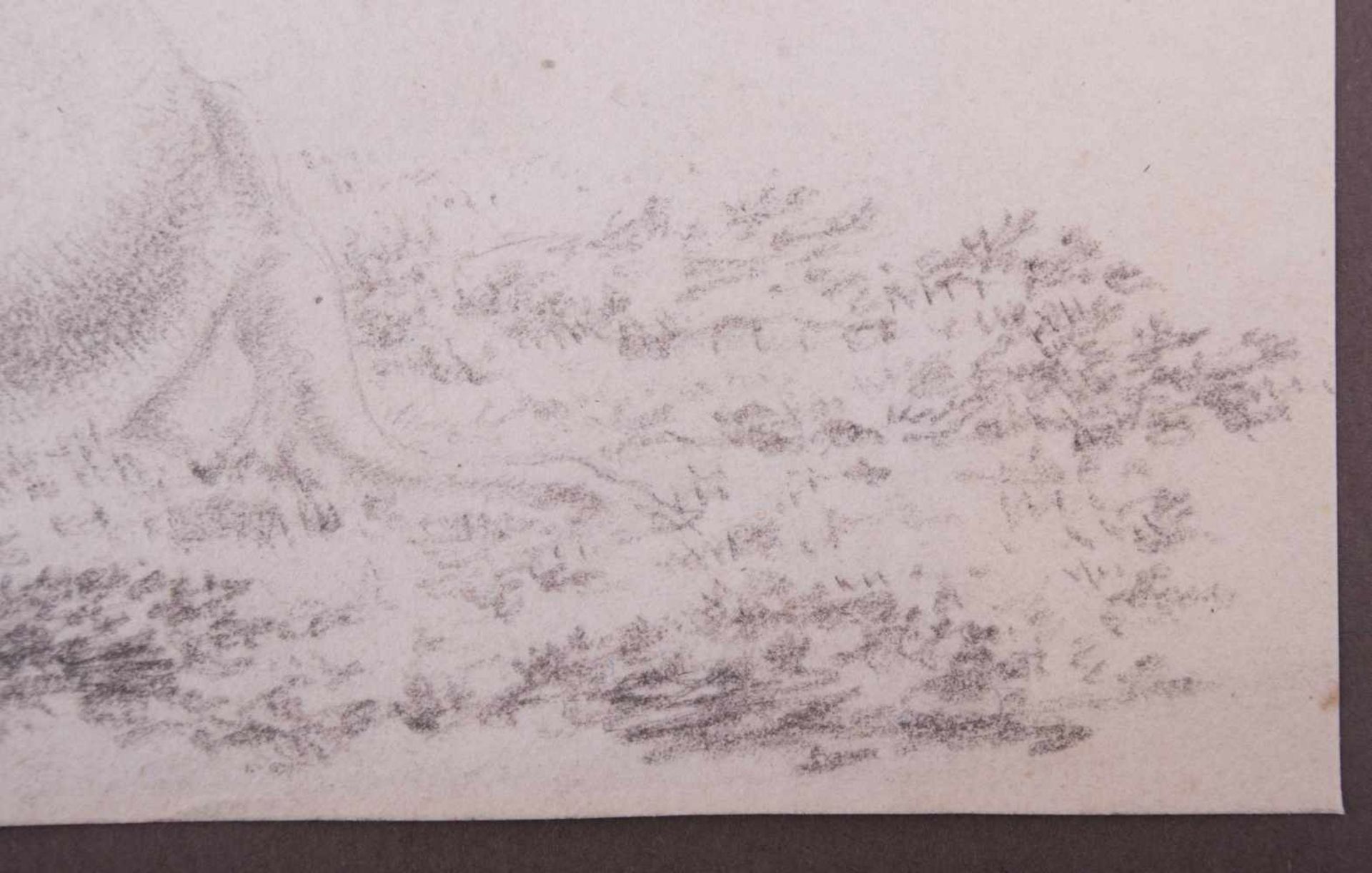 unbekannter Künstler des frühen 19. Jhd. "Liegende Kuh" Zeichnung-Bleistift, 14,2 cm x 19,7 cm, Sehr - Image 3 of 5