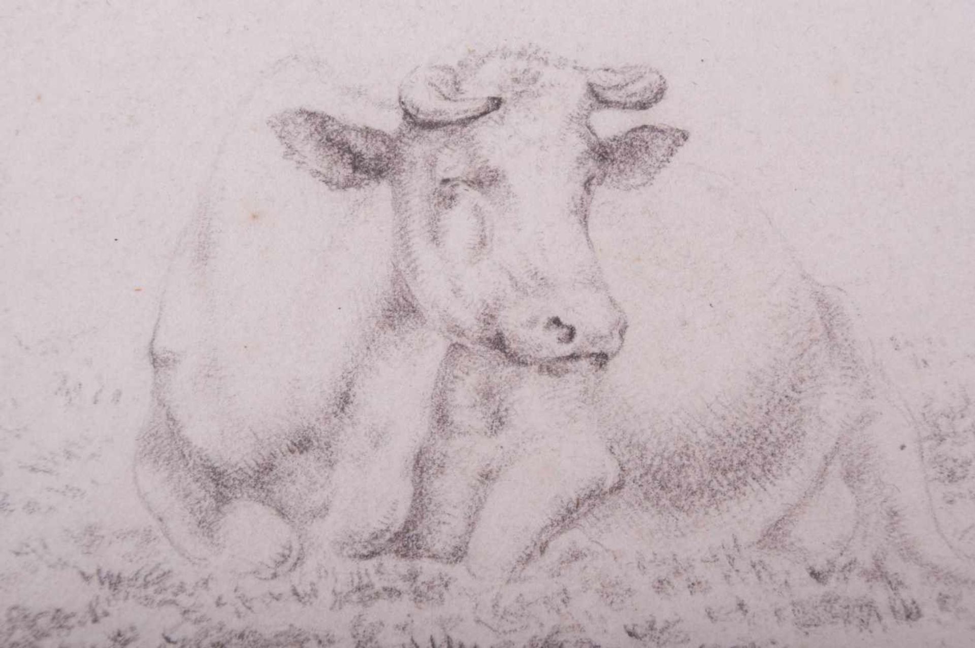 unbekannter Künstler des frühen 19. Jhd. "Liegende Kuh" Zeichnung-Bleistift, 14,2 cm x 19,7 cm, Sehr - Image 2 of 5