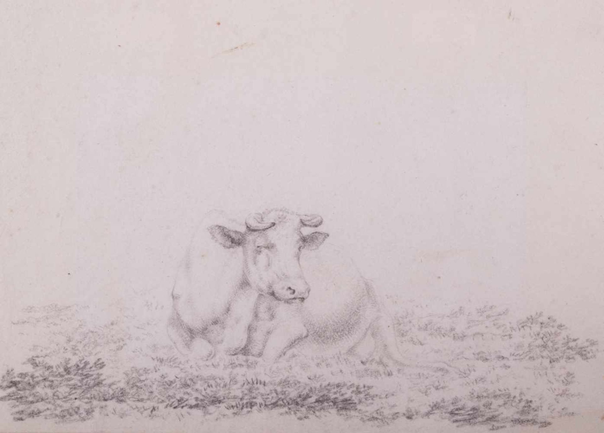 unbekannter Künstler des frühen 19. Jhd. "Liegende Kuh" Zeichnung-Bleistift, 14,2 cm x 19,7 cm, Sehr