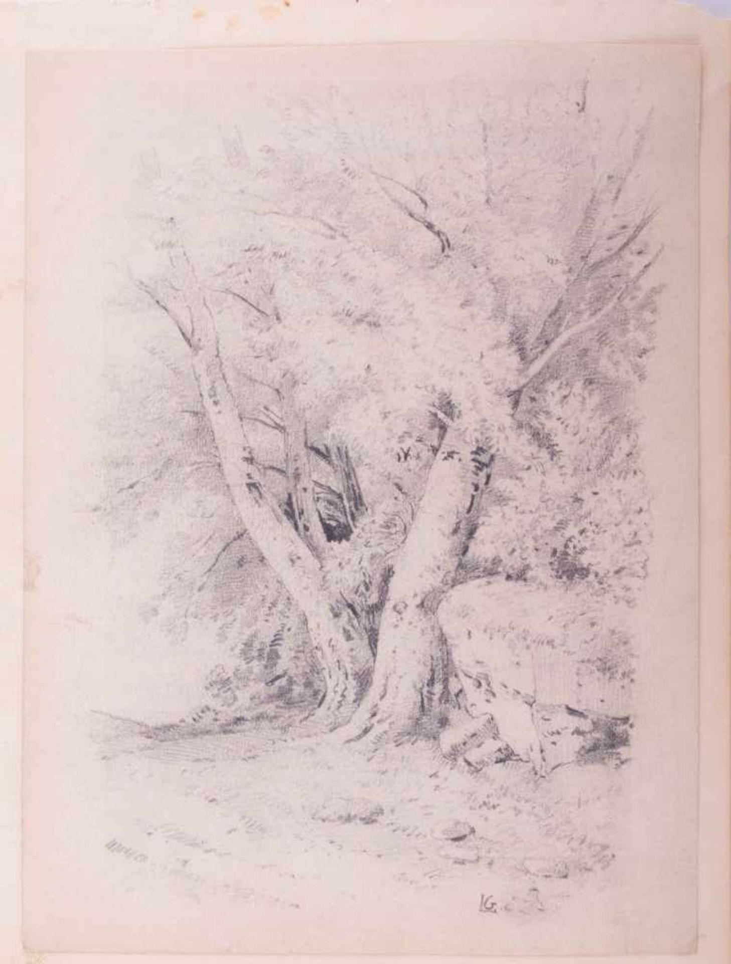 Monogrammist LG 19. Jhd. "Bäume" Zeichnung-Bleistift, 25,6 cm x 19,2 cm, rechts unten