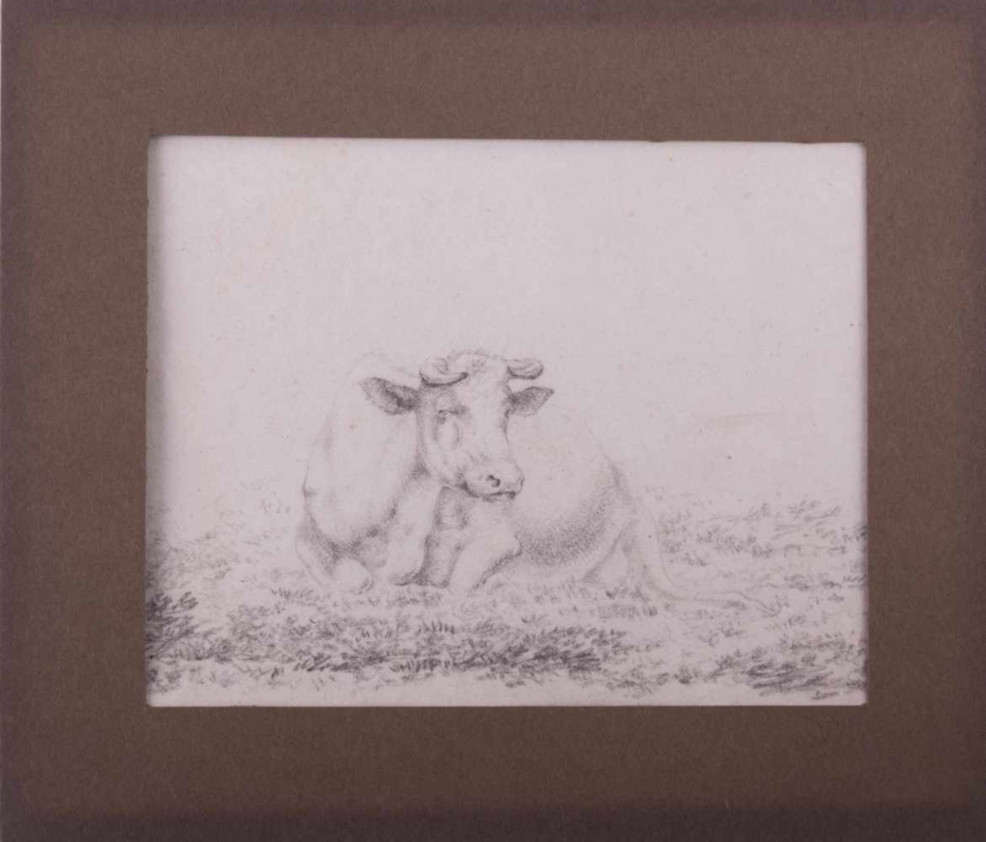 unbekannter Künstler des frühen 19. Jhd. "Liegende Kuh" Zeichnung-Bleistift, 14,2 cm x 19,7 cm, Sehr - Image 5 of 5