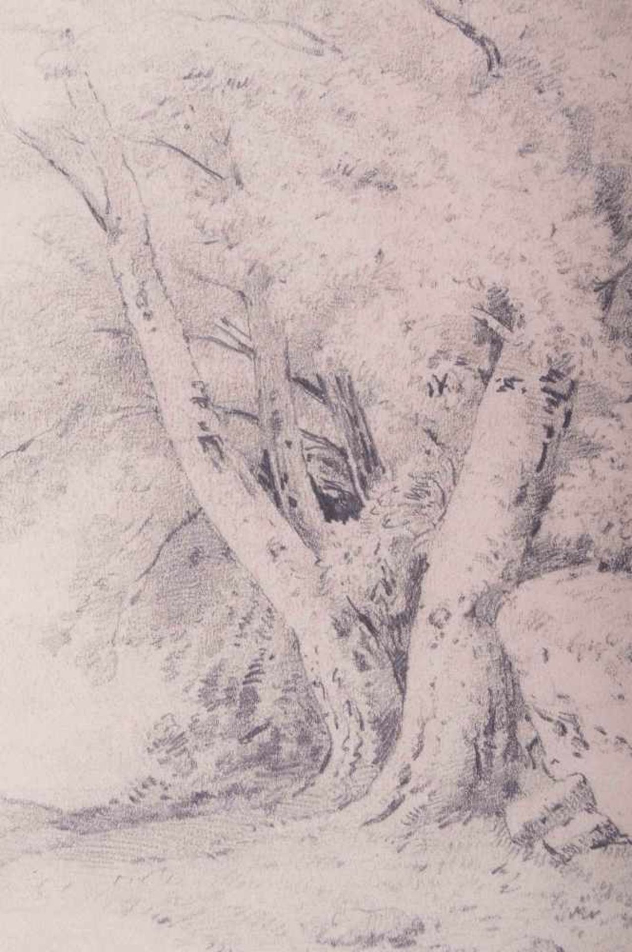 Monogrammist LG 19. Jhd. "Bäume" Zeichnung-Bleistift, 25,6 cm x 19,2 cm, rechts unten - Image 2 of 4