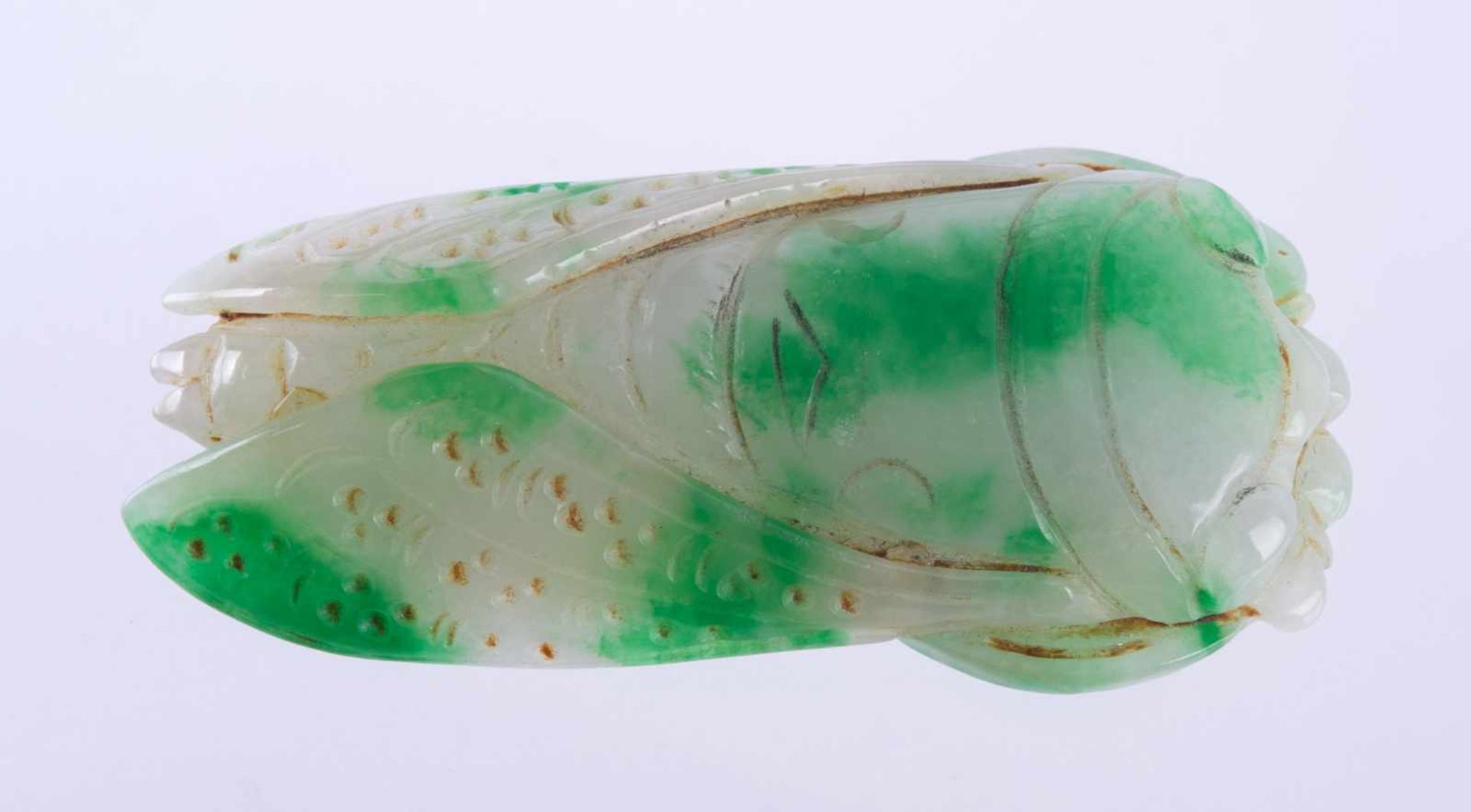 Jade Zikade China 18./19. Jhd.fein beschnitzt,1,1 cm x 6,7 cm x 3 cmJade cicada China 18th/19th