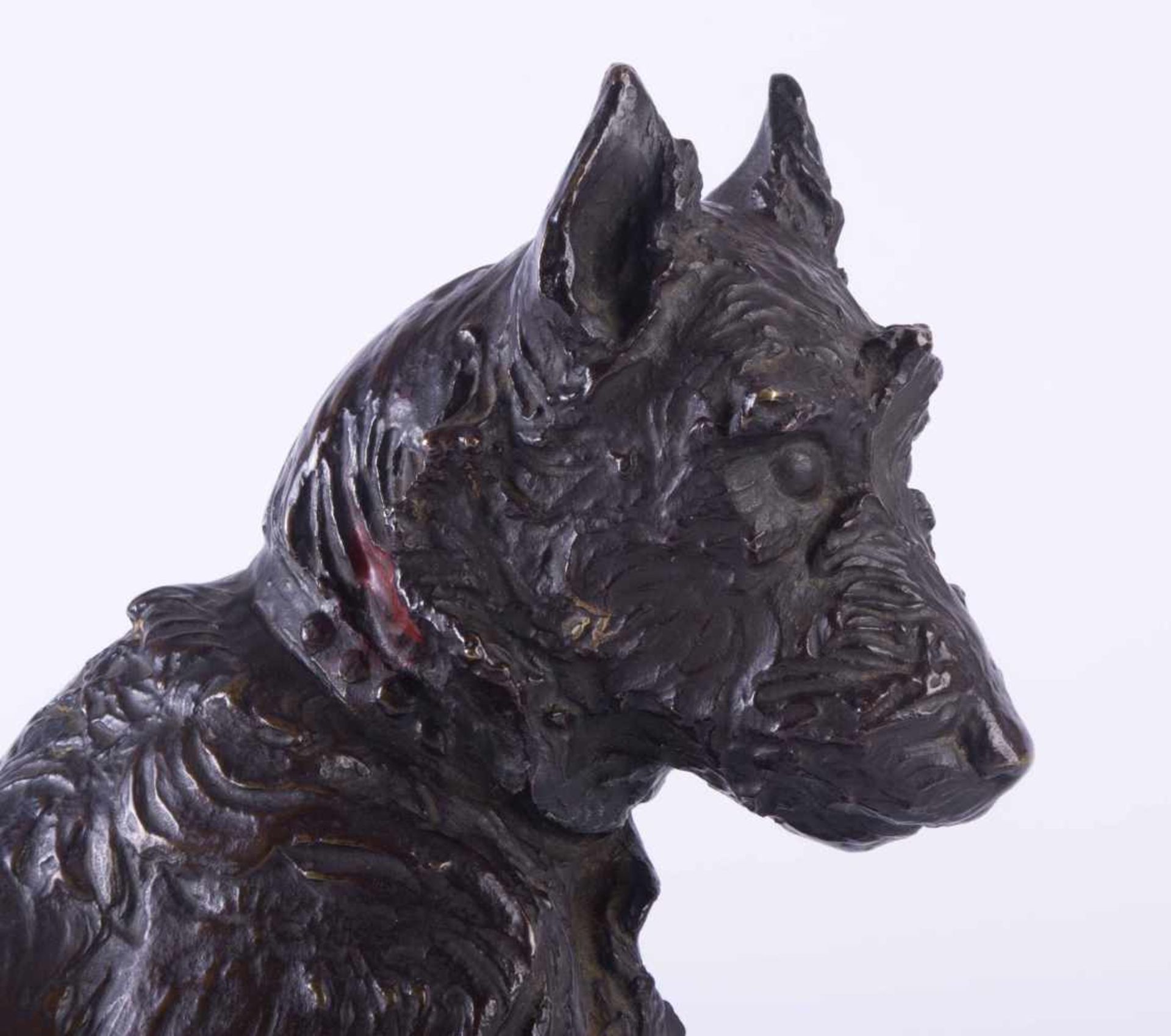 Rudolf MARCUSE (1878-c.1930/40)"Terrier"Skulptur-Volumen, Bronze, H: 31,5 cmRudolf MARCUSE (1878-c. - Bild 4 aus 6