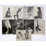 9 SW Akt Aufnahmen 60er Jahre Posten von 9 gleichformatigen Akt Photos, Erotik, 1960er Jahre