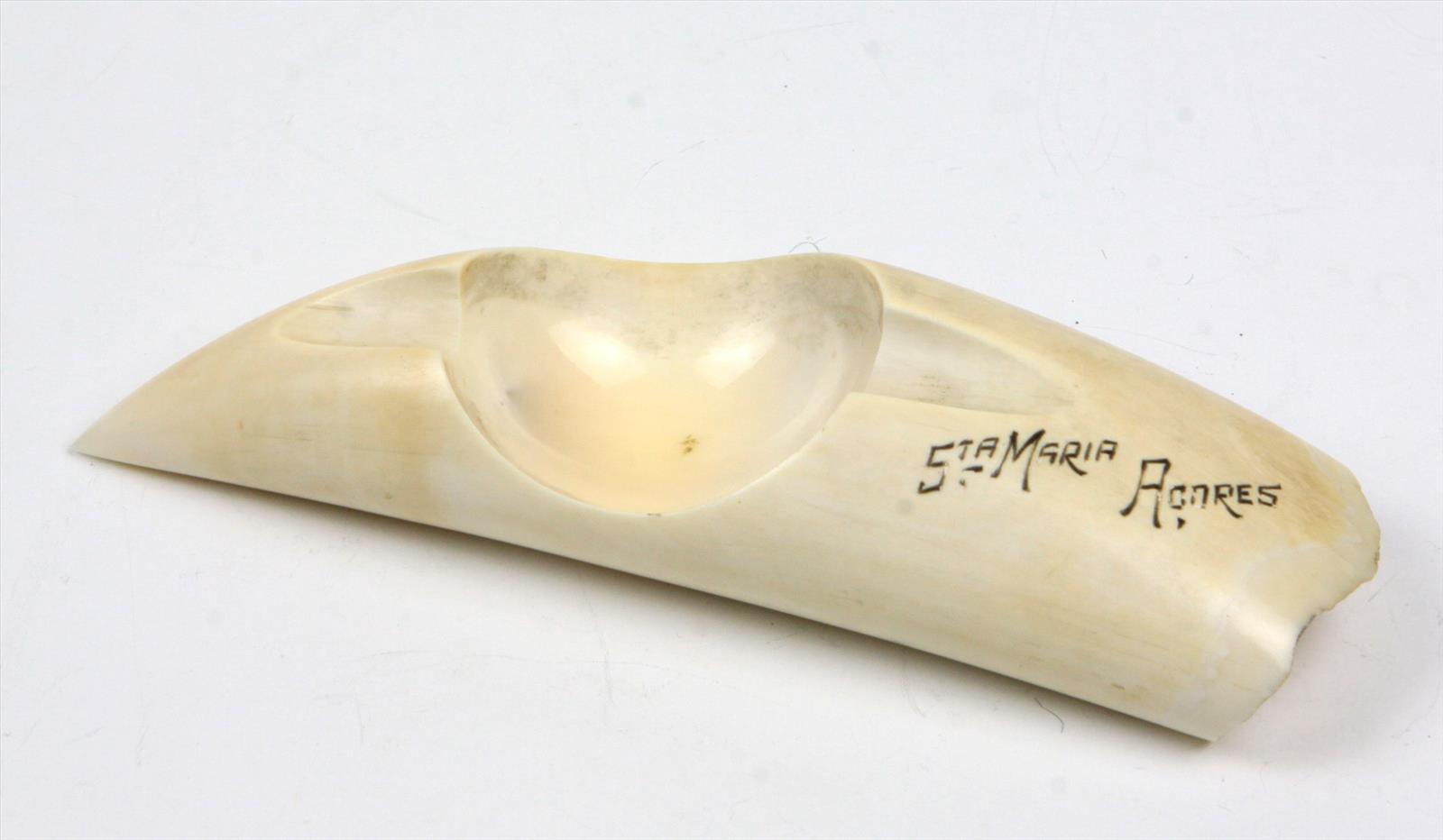 Andenken Zahn Santa Maria um 1920 Schwertwal, Andenken in Form eines Zahnes mit Mulde, gravierter