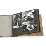 private Aktfotos im Album 40 SW- Photos mit erotischen Akt Aufnahmen aus Privathaushalten, ein-