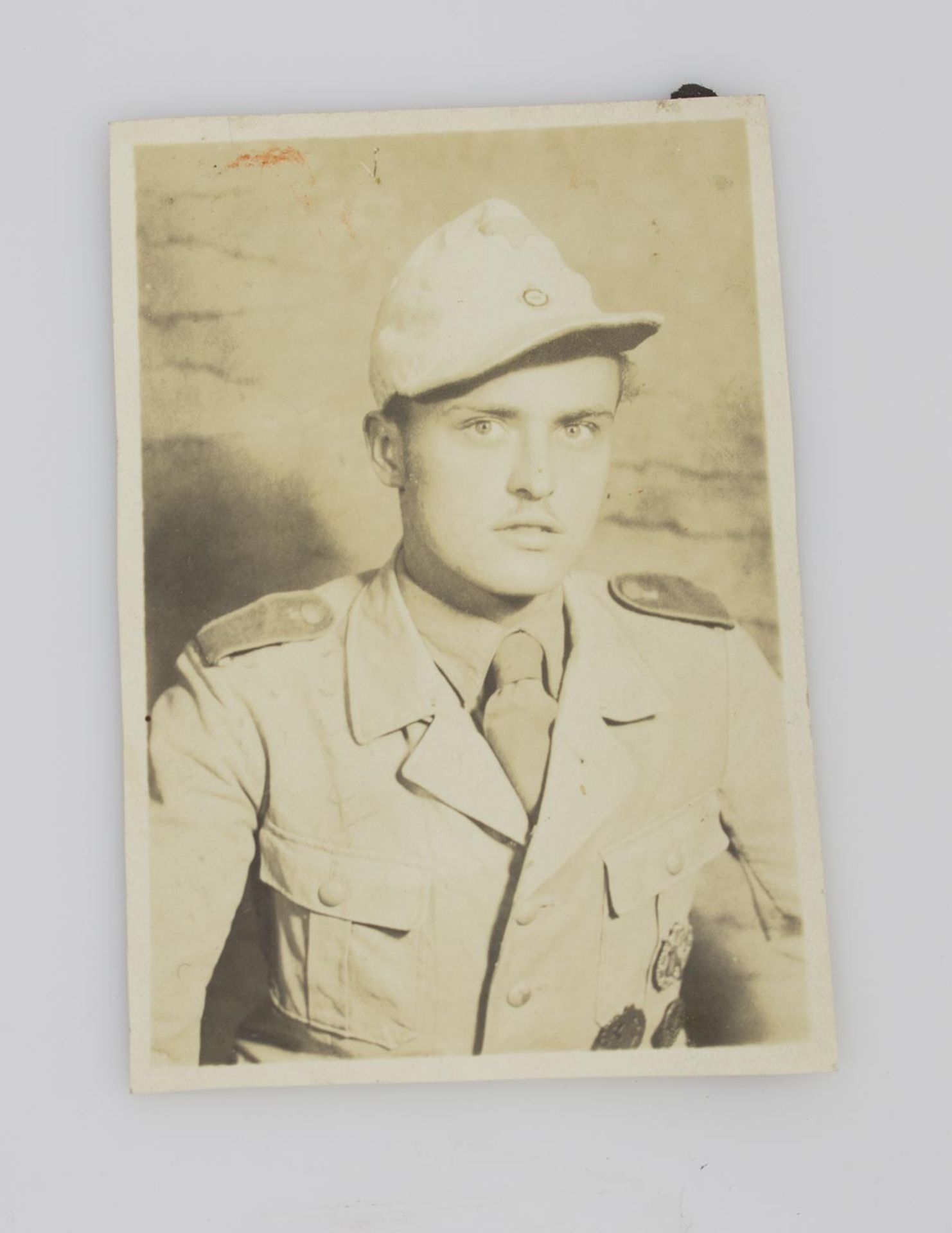 Soldatenfoto II. WK, Afrika Korps 1942, Rückseitig beschriftet, diverse Auszeichnungen