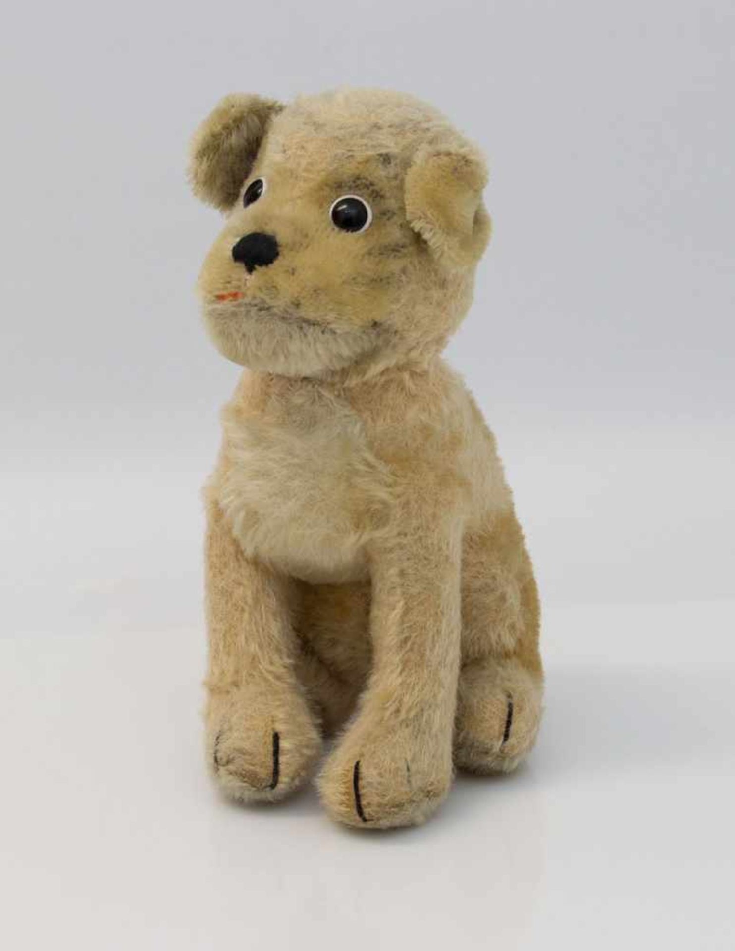Sitzender Hund Steiff Mopsy, um 1960er Jahre, Zunge fehlt, Knopf vorhanden (Fahne fehlt), H. 22 cm