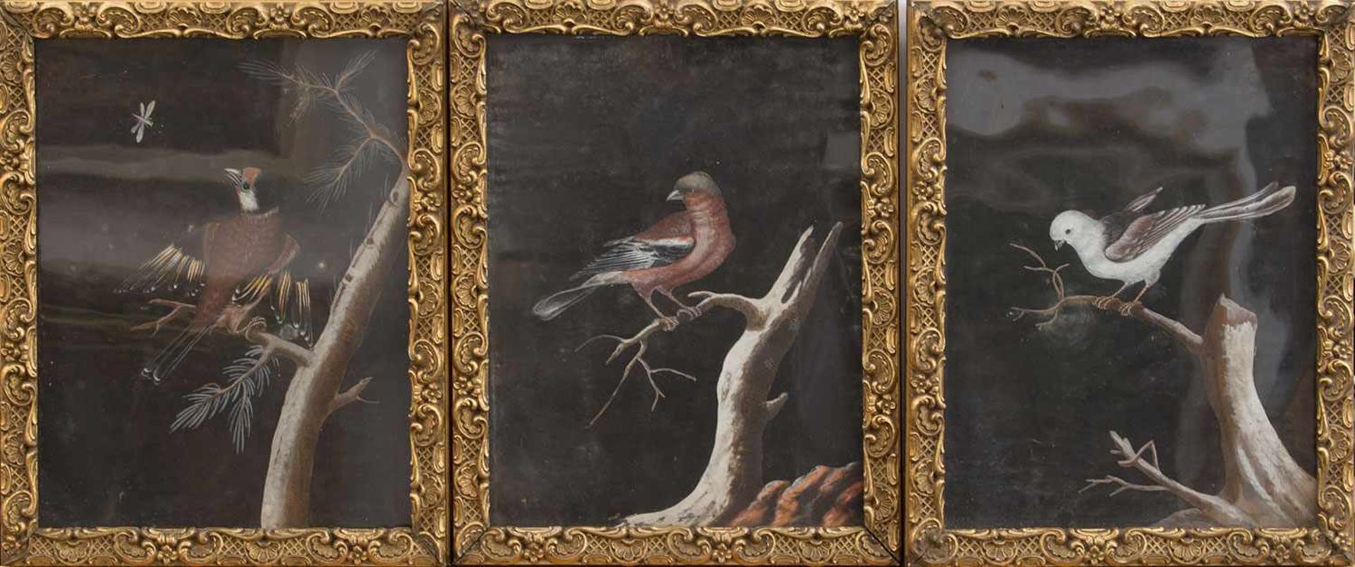 Unbekannt (Tiermaler- u. Zeichner des 19. Jh.) Ornithologisch exakte Darstellung 3er Vögel Tusche/