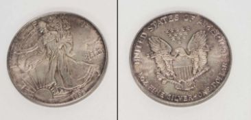 1 DollarUSA 1993, Silver-Eagle, 1 Unce Feinsilber