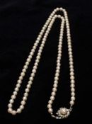 Perlenketteunregelm. Zuchtperlen, einzeln geknotet, mit roséfarbenem Lüster, blütenförmige 585er