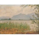 Walther Kerschensteiner, Am Seeufer Blick vom mit Schilf bewachsenen Ufer eines Sees im Voralpenland