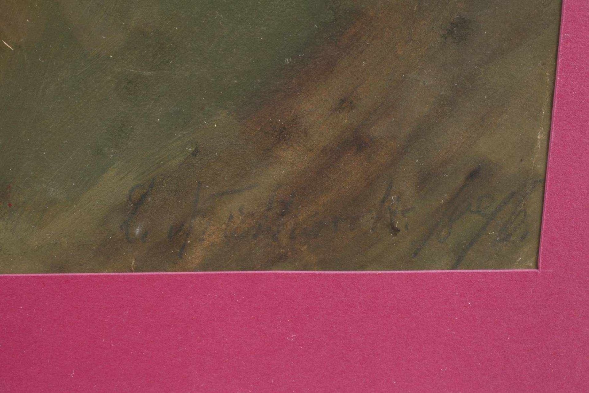 Pfingstrosenstudiedrei üppige rosa Pfingstrosenblüten vor grünem Grund, gekonnt festgehaltene, - Bild 3 aus 3