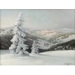 KARL HAUPTMANN (1880 - 1947). Winter im Schwarzwald. Feldberg? 39 cm x 50,5 cm. Gemälde, Öl auf