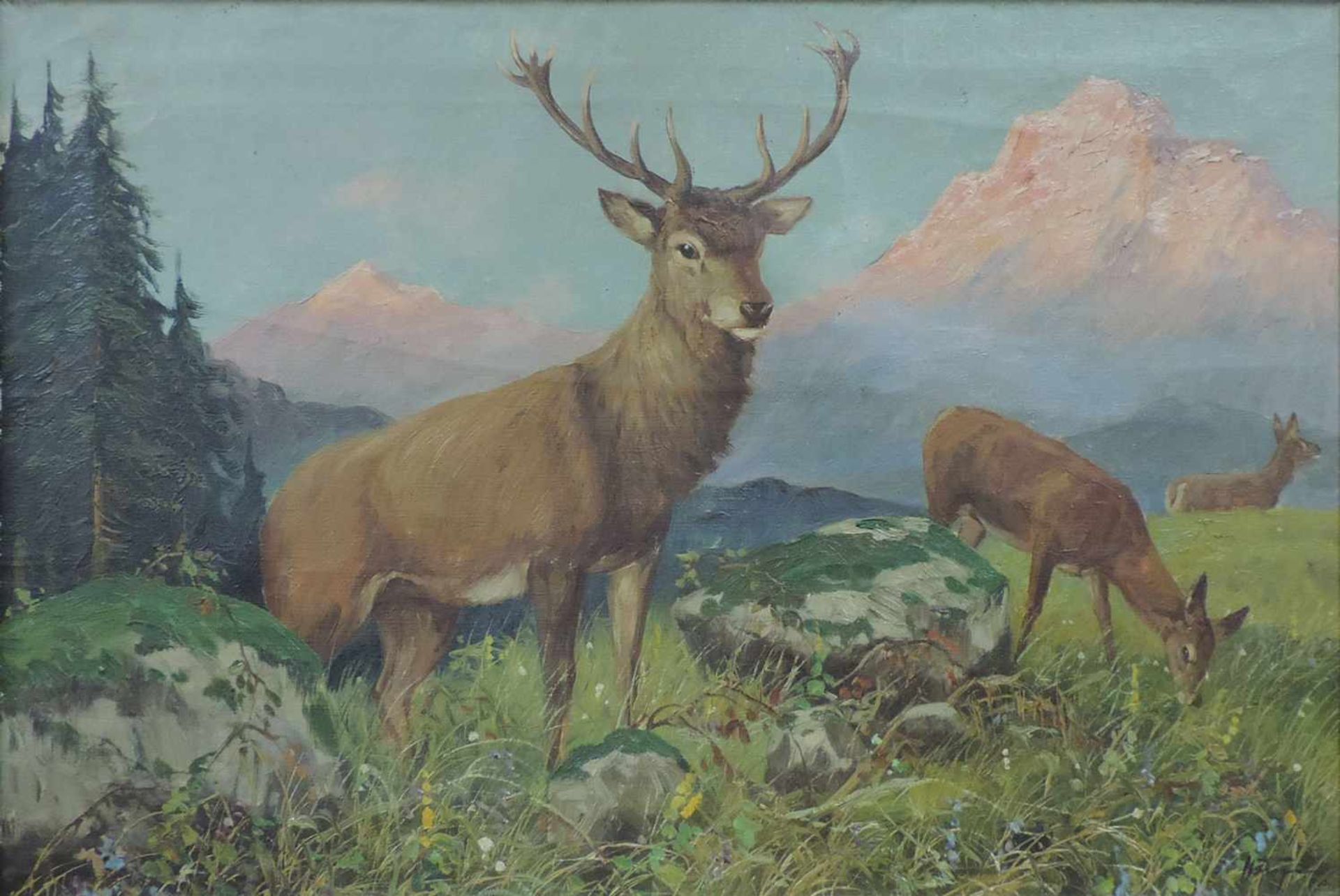 UNDEUTLICH SIGNIERT (XX). Kapitaler Hirsch im Hochgebirge. 55 cm x 80 cm. Gemälde, Öl auf