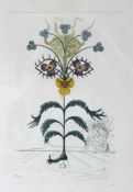 Salvador DALI (1904 - 1989). Flordali: Pensée (Viola cogitans). 83/ 350. 23,5 cm x 15,6 cm. Rechts