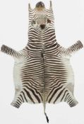 Zebrafell. Ostafrika. Alt, um 1950. Bis 317 cm x 187 cm. Zebra skin. East Africa. Old, around