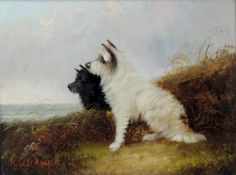 Robiet ARMSFIELD (XIX). Carin Terrier. 22 cm x 30 cm. Gemälde, Öl auf Leinwand. Links unten