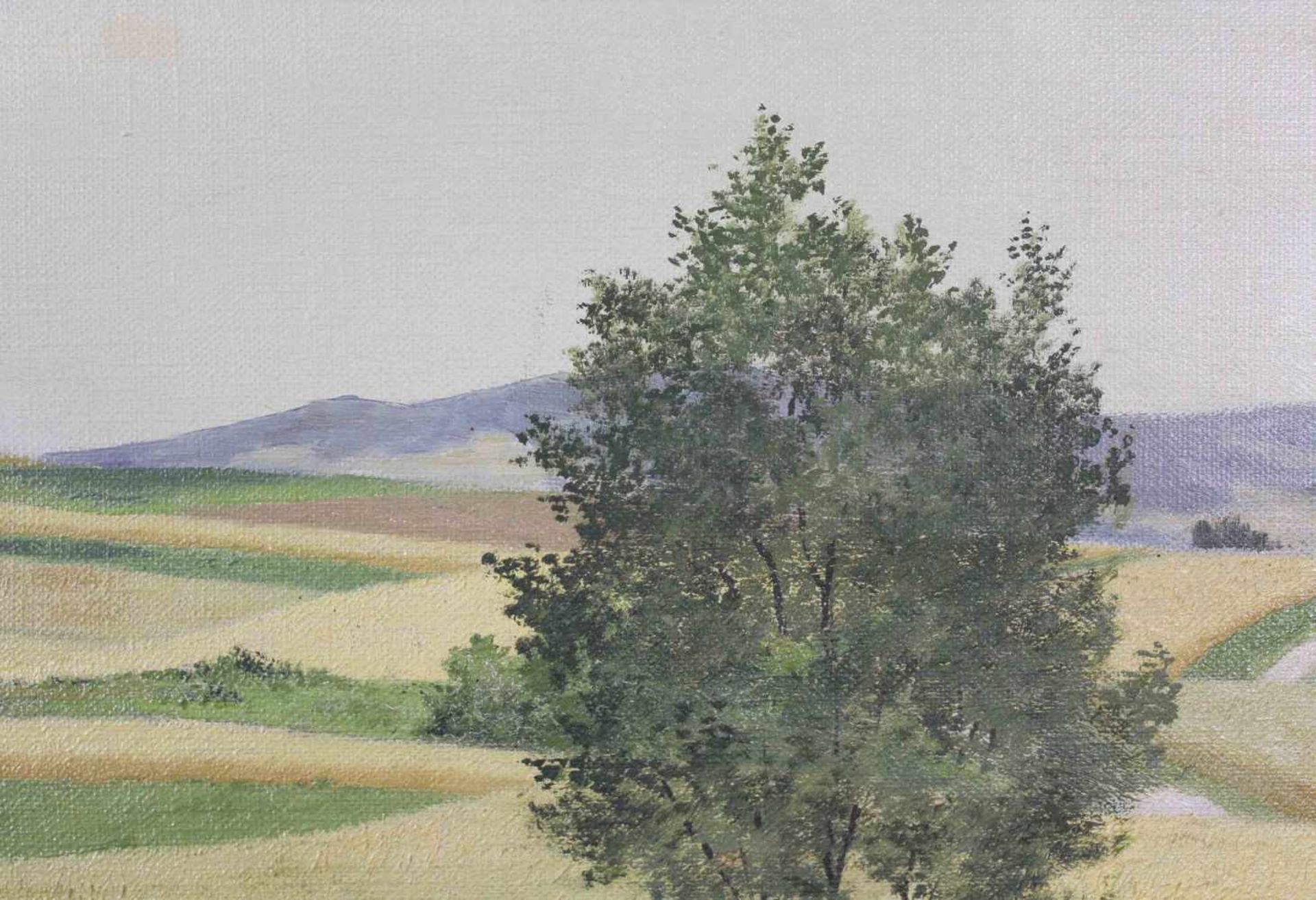 M. METZKER (XX). Mittelgebirgslandschaft im Sommer. 50 cm x 60 cm. Gemälde. Öl auf Leinwand. Links - Image 4 of 5