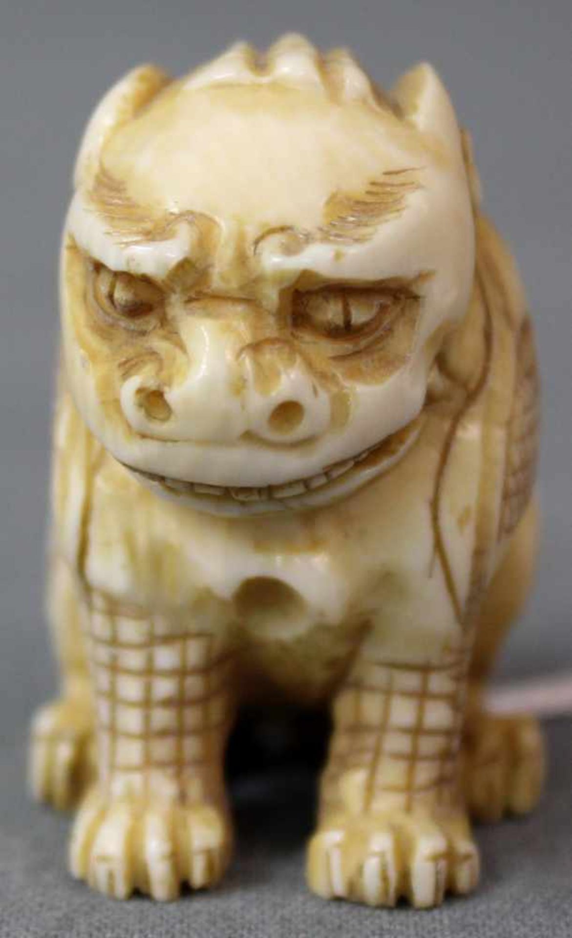 Netsuke Löwe. Elfenbein? Geschnitzt. Japan, wohl Meiji - Zeit 1869 - 1912. 42 mm hoch. Unten