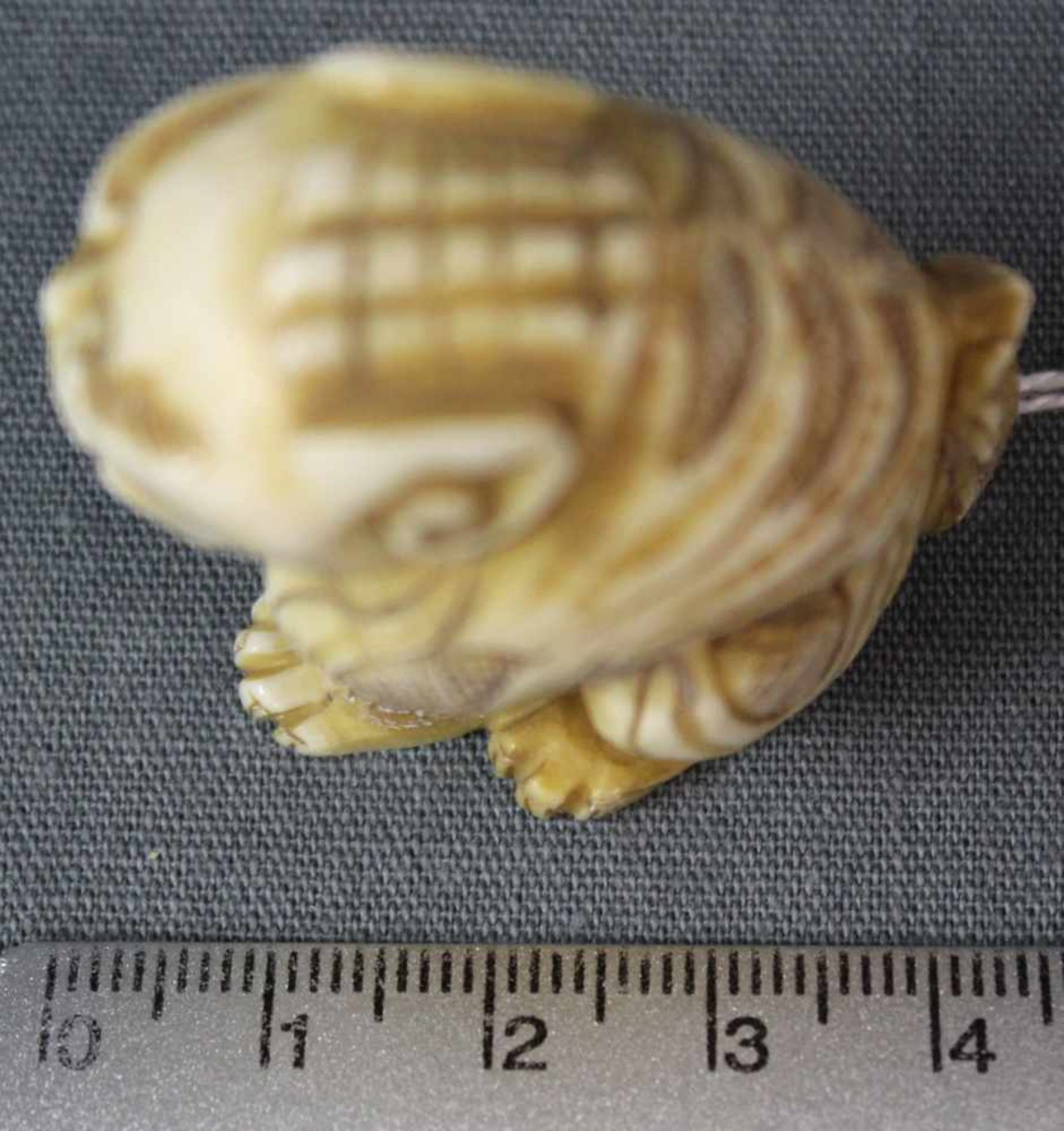 Netsuke Löwe. Elfenbein? Geschnitzt. Japan, wohl Meiji - Zeit 1869 - 1912. 42 mm hoch. Unten - Bild 6 aus 6