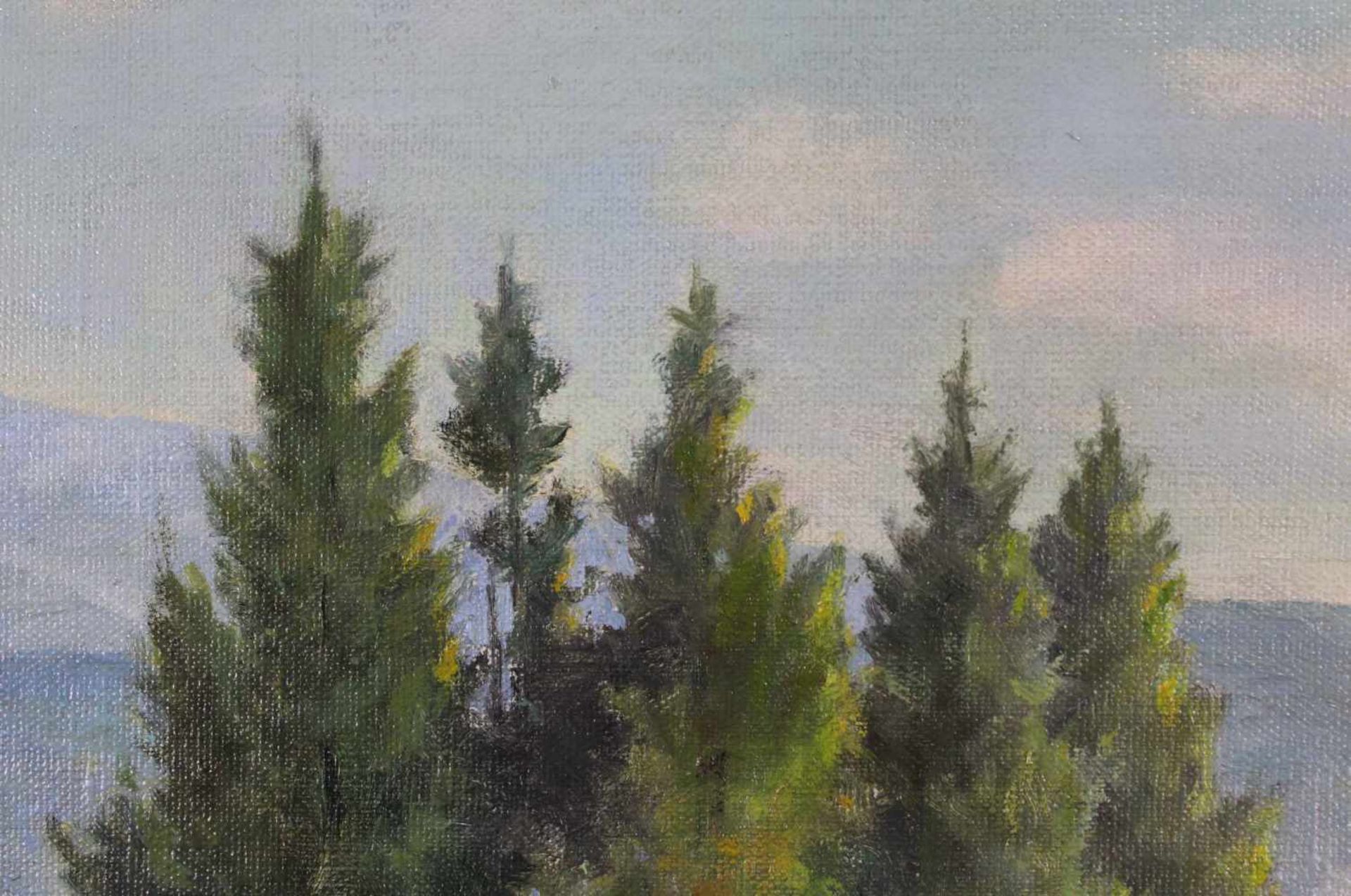 H. HEUN (XX). Mittelgebirgsbach. 76 cm x 60 cm. Gemälde. Öl auf leinwand. Links unten signiert. H. - Image 5 of 7