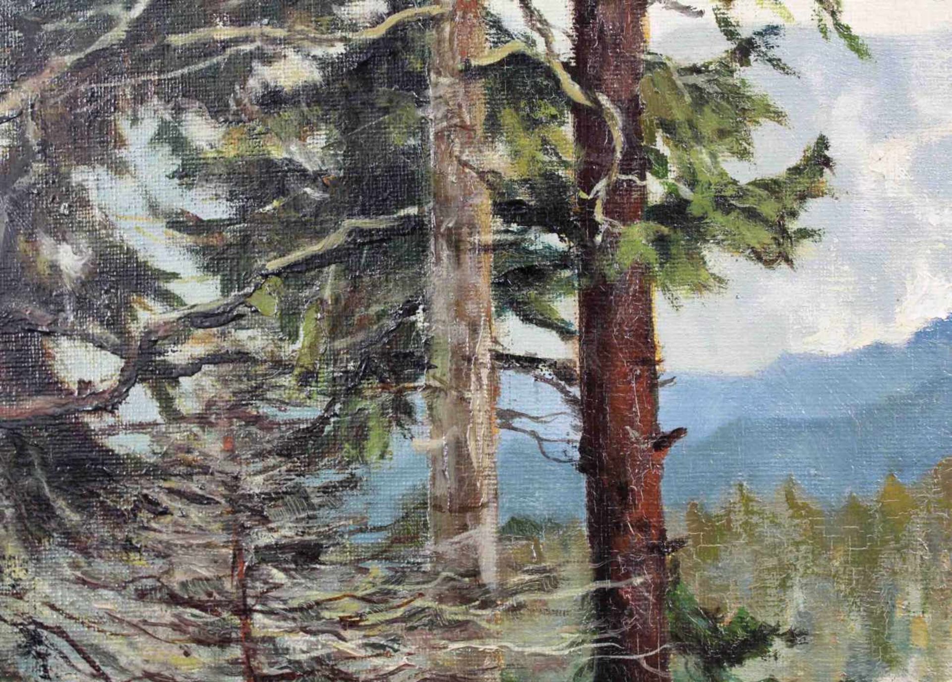 E. Harrison COMPTON. Zeller See. 60 cm x 75 cm. Gemälde. Öl auf Leinwand. Rechts unten bezeichnet. - Bild 4 aus 8