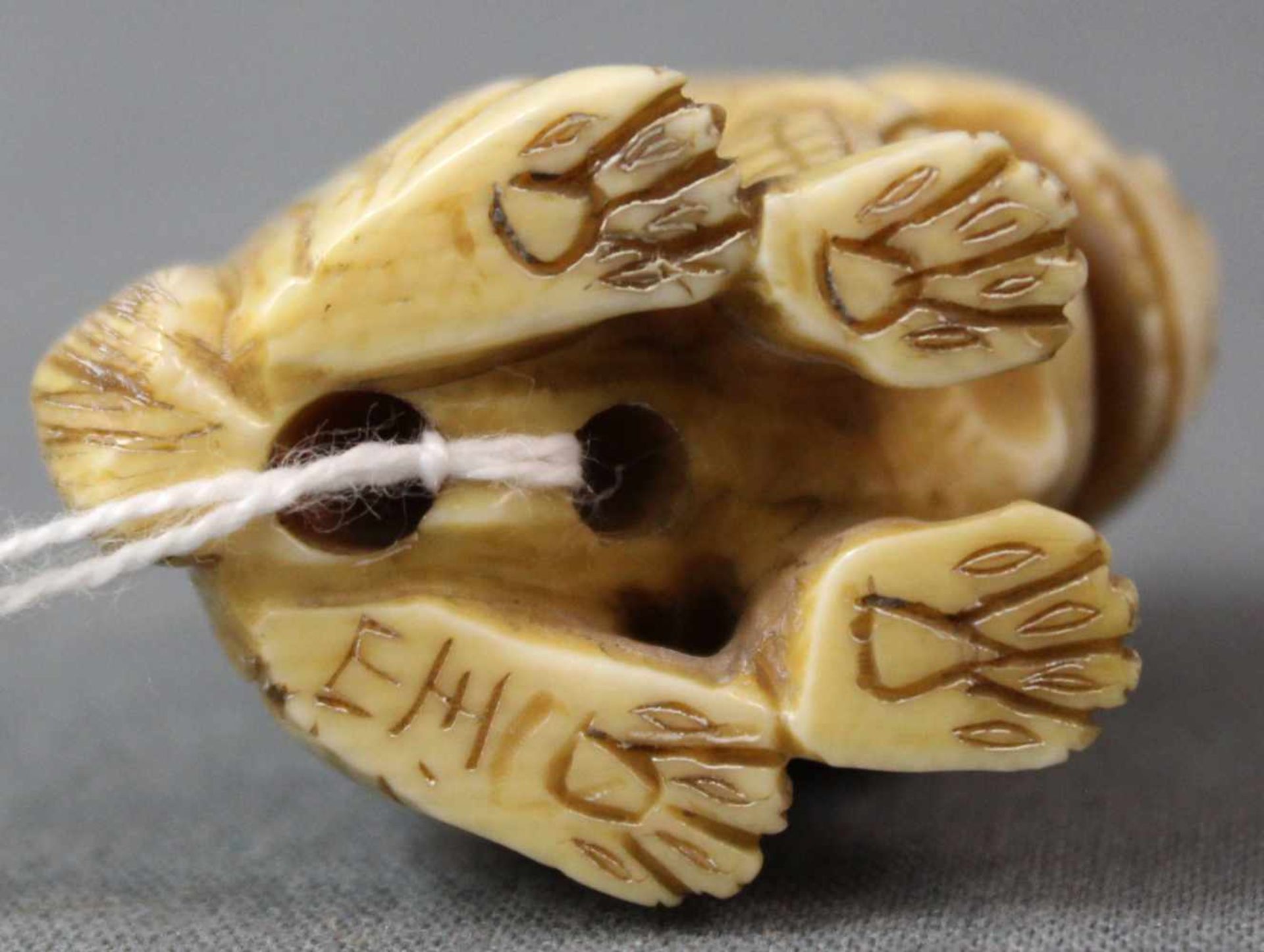 Netsuke Löwe. Elfenbein? Geschnitzt. Japan, wohl Meiji - Zeit 1869 - 1912. 42 mm hoch. Unten - Bild 5 aus 6