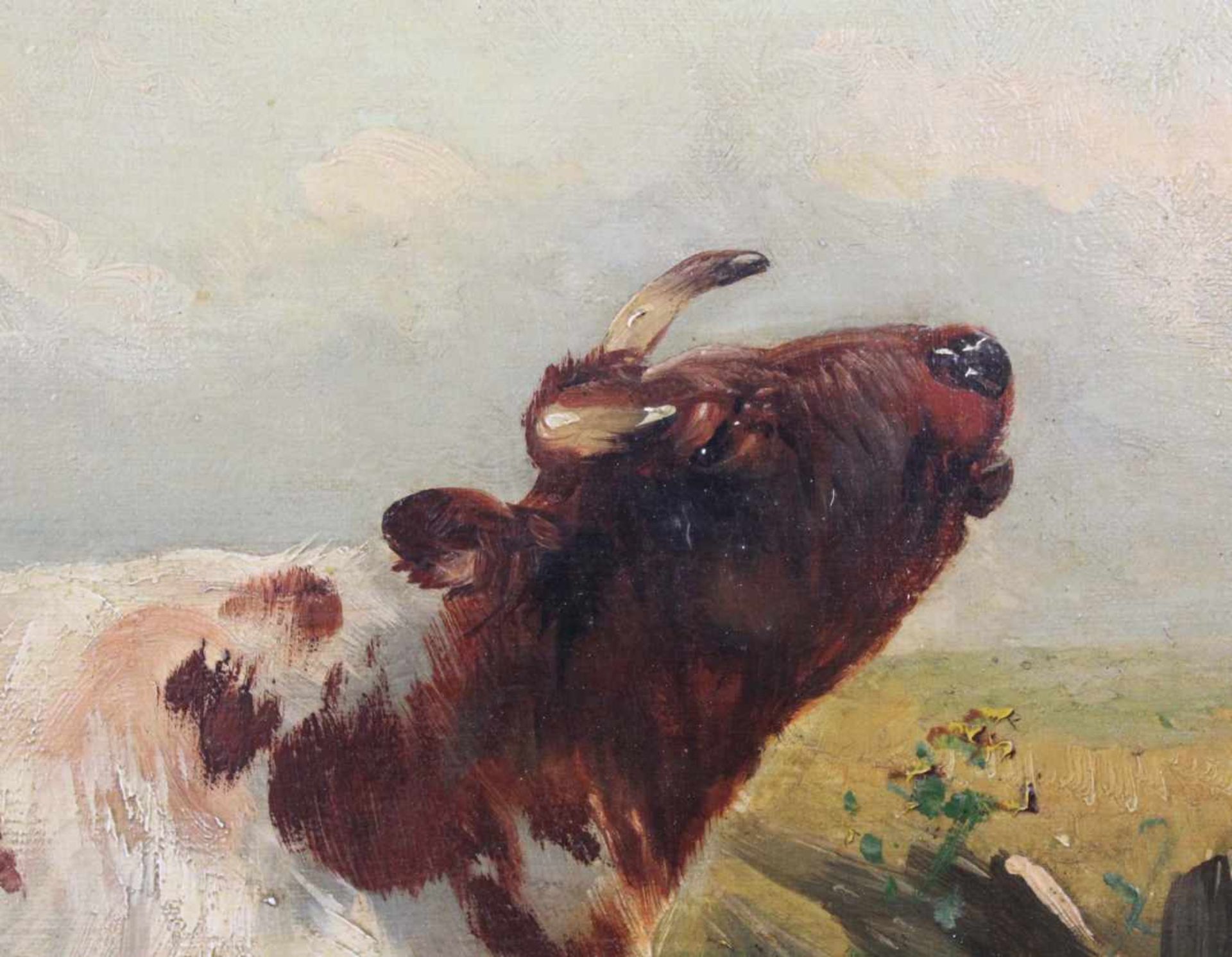 Henry SCHOUTEN (1857/64 - 1927). 3 Kühe auf der Sommerweide. 67,5 cm x 57 cm. Gemälde, Öl auf - Image 4 of 7