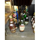 14 various bottles of liqueurs and other exotic drinks, including Waikiki, Passoa, Kahlua, etc. (14)