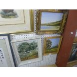 Joyce Garner (Australian), three framed topographic oils of New South Wales, all signed (3) ONLINE