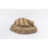 FRAGMENT OF VOTIVE FOOT, 4TH ? 1ST CENTURY B.C. In terracotta. Measures cm. 5 x 12. The find is