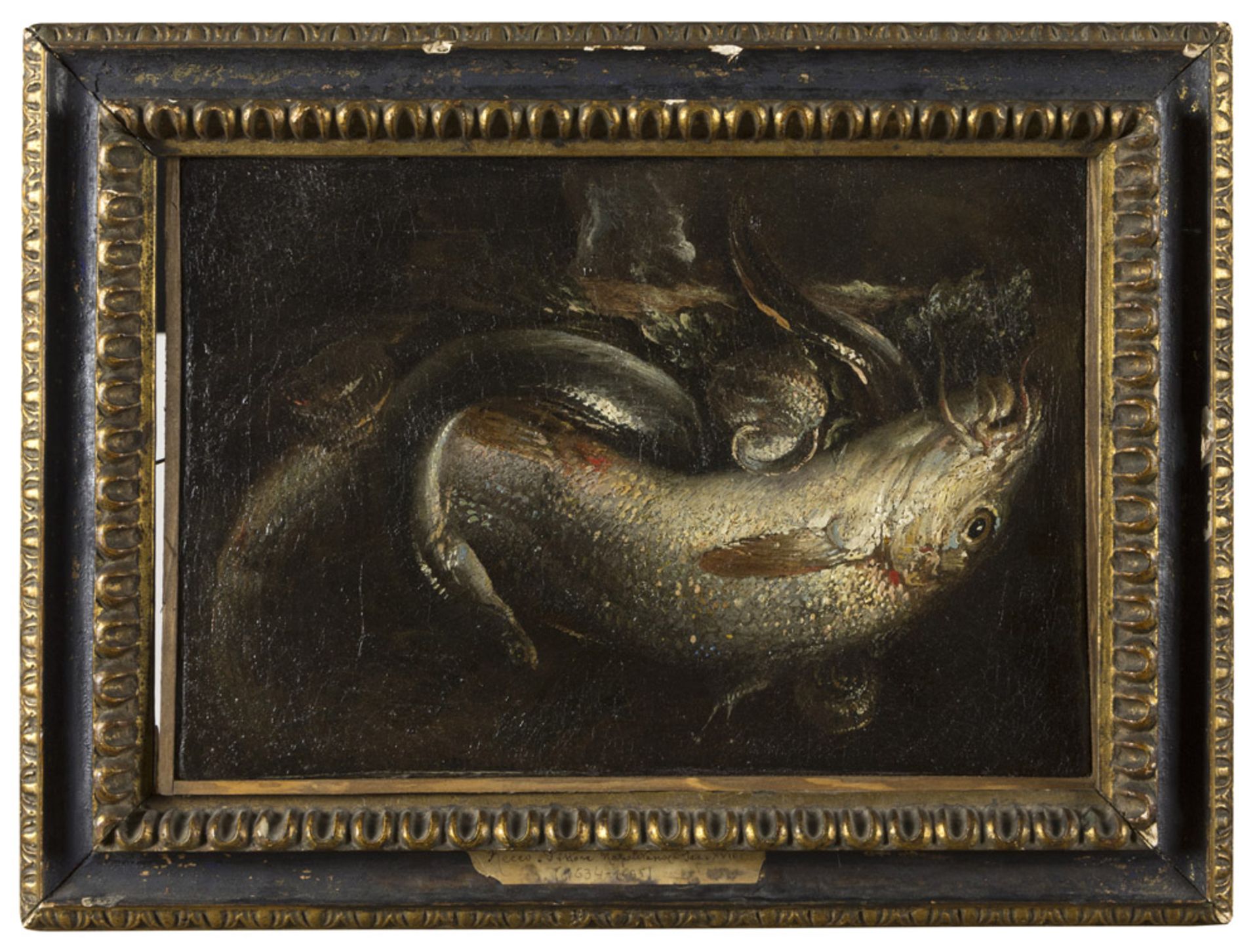 GIUSEPPE RECCO, att. to (Naples 1634 - Alicante 1695) STILL-LIFE WITH FISH, EEL AND SNAILS Oil on