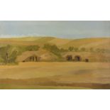 BICE BRICHETTO (Milano 1926 - Orvieto 2012) Paesaggio di Sasso Tagliato II, 1986 Olio su tela, cm.