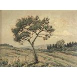 GINO ROMITI (Livorno 1881 - 1967) Paesaggio in collina con albero Olio su masonite, cm. 29 x 39